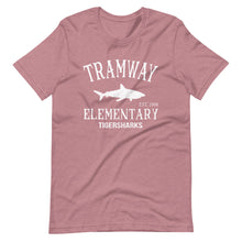 Load image into Gallery viewer, Tramway Adult Vintage