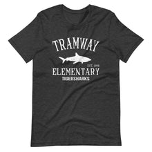 Load image into Gallery viewer, Tramway Adult Vintage